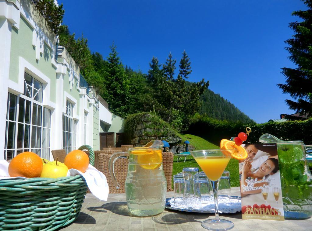 Panhans Semmering Bagian luar foto